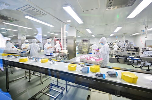 餐桌上的安全衛(wèi)士 走進沈陽綠色工廠，揭秘食品產(chǎn)業(yè)的生產(chǎn)革命