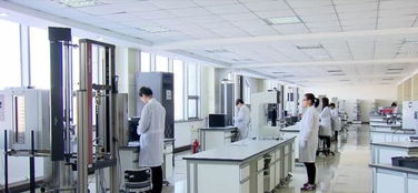全球最大生物基復合材料項目正式開工，綠色材料技術再迎突破